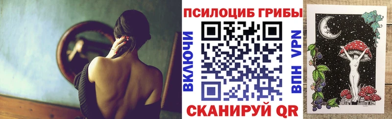 купить наркоту  Спас-Деменск  Галлюциногенные грибы MAGIC MUSHROOMS 